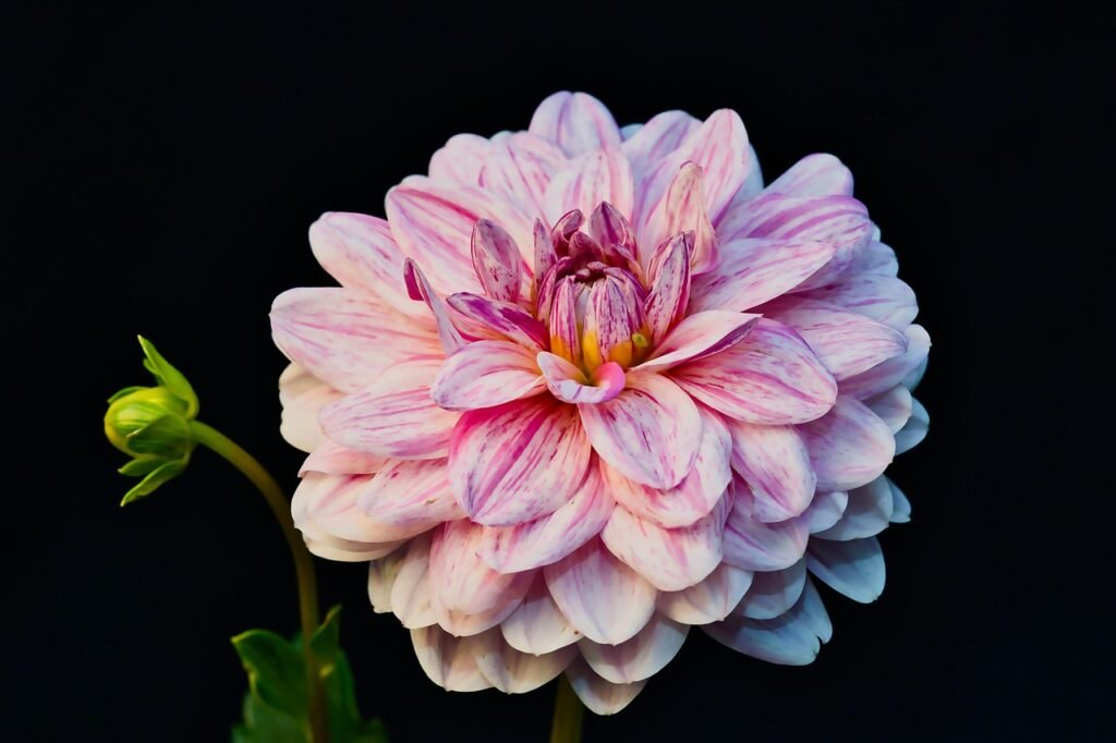 kako pospešiti rast las